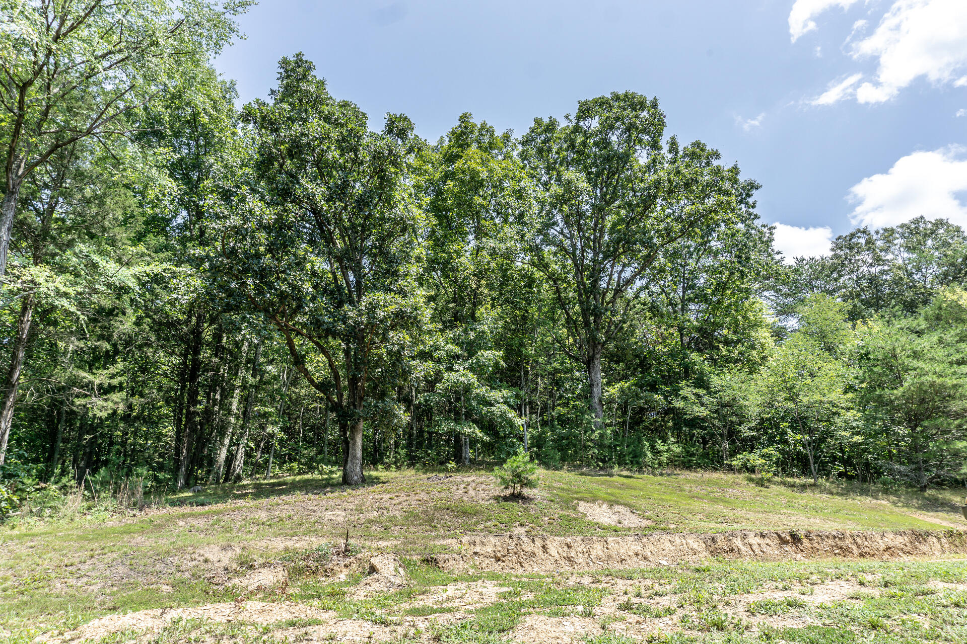 420 Old Cemetery Road, Unit 16 Greeneville, TN 37745 - Photo 3 of 29 420OldCemeteryC_002