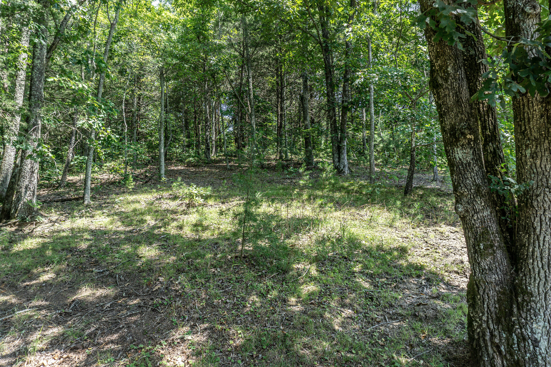 420 Old Cemetery Road, Unit 16 Greeneville, TN 37745 - Photo 4 of 29 420OldCemeteryC_003
