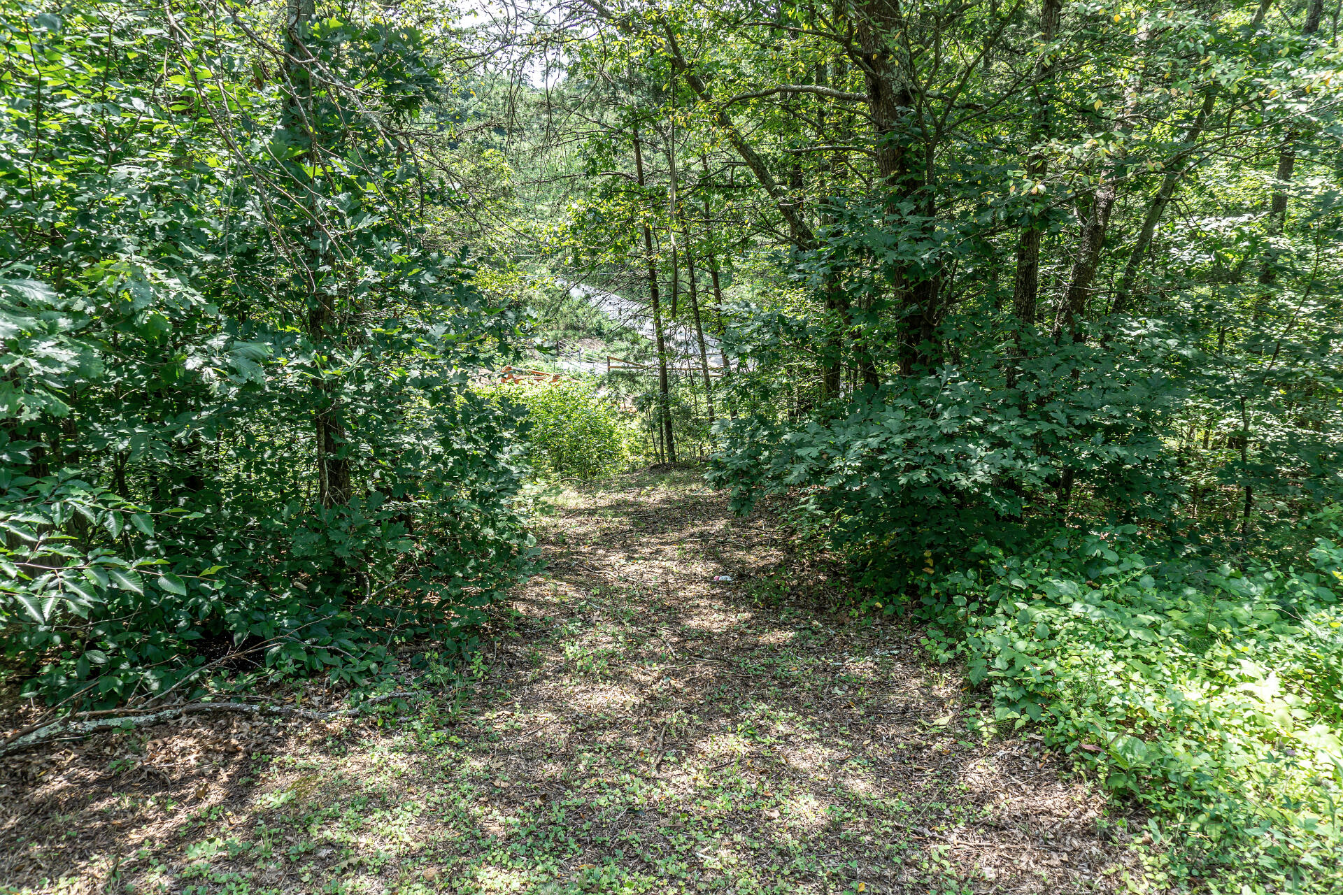 420 Old Cemetery Road, Unit 16 Greeneville, TN 37745 - Photo 8 of 29 420OldCemeteryC_007