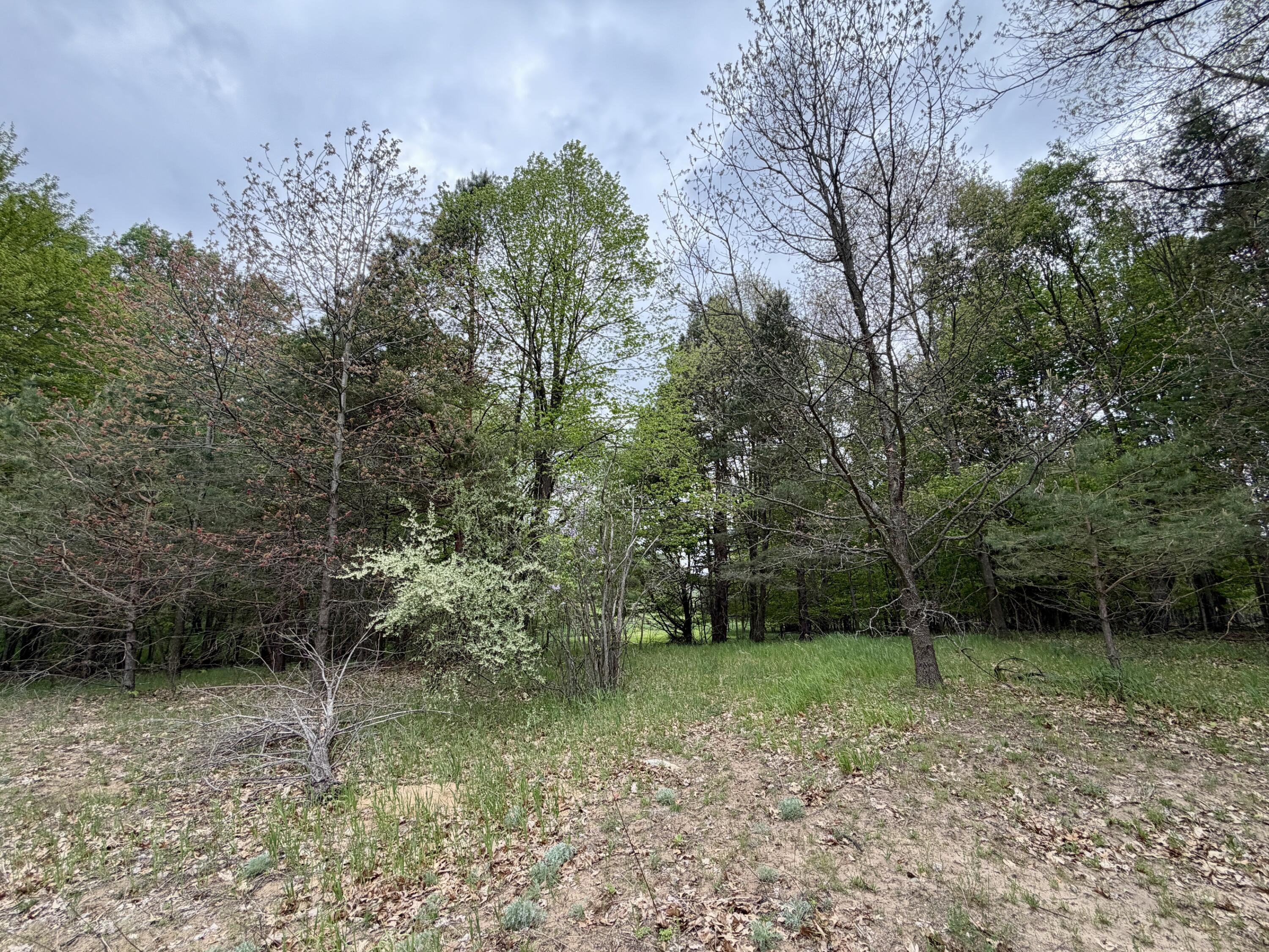 9435 East Garfield Road Hesperia, MI 49421 - Photo 32 of 36 IMG_0483