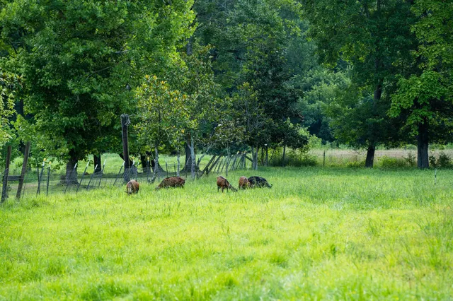 $1,350,000 | 9032 South Harpeth Court, Nashville, TN 37221