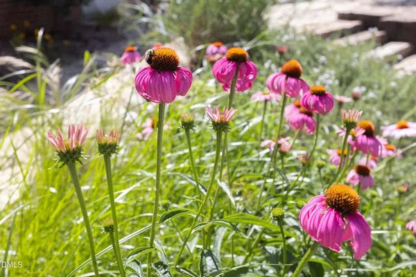 $1,050,000 | 2502 Sevier Street, Durham, NC 27705