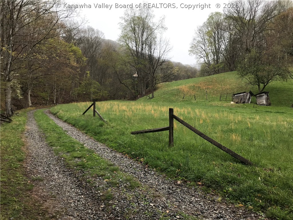 0 Deadfall Run Road Ivydale, WV 25113 - Photo 11 of 19 Gallery Image 11