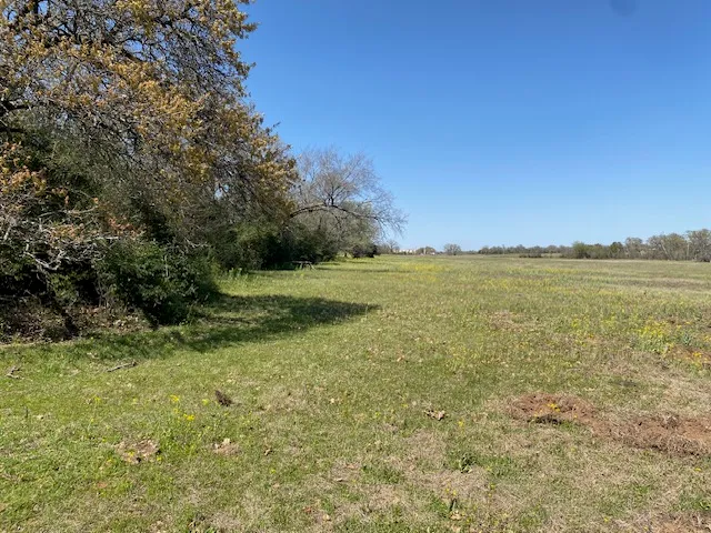 a view of a field with a trees in the background