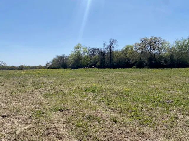 a view of a lake from a yard