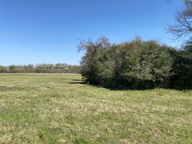 a view of a yard with a tree