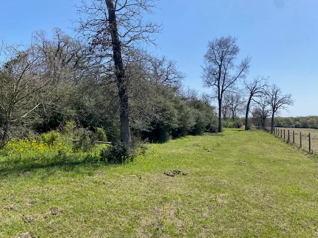 a view of a field with an trees