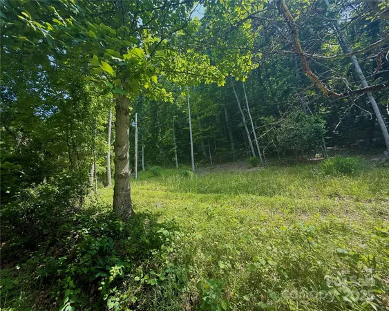$50,000 | 700 Wooded Mountain Trail, Mars Hill, NC 28754
