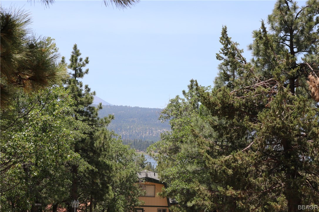 1143 Ridge Road Fawnskin, CA 92333 - Photo 2 of 27 Gallery Image 2