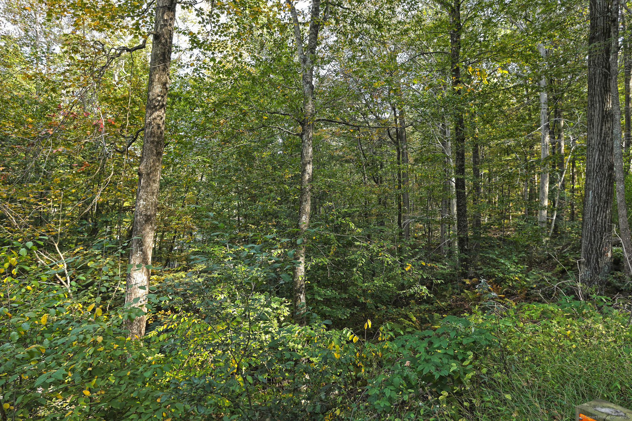 6 Park Road Oxford, CT 06478 - Photo 3 of 5