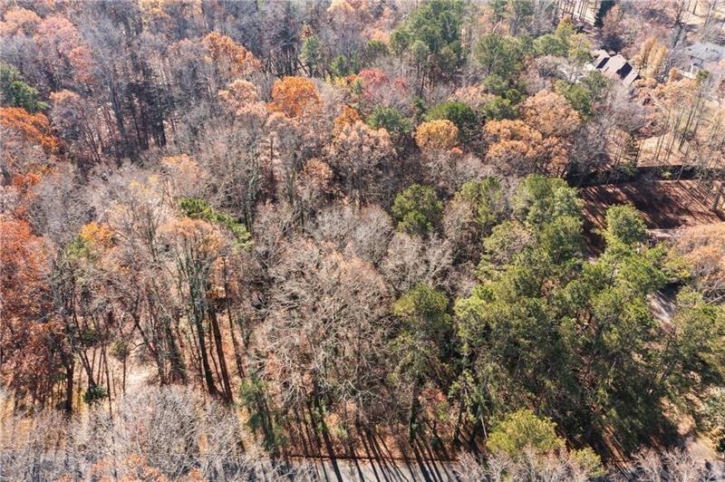 0 High Point Trail Southwest Atlanta, GA 30331 - Photo 3 of 8 a view of a forest