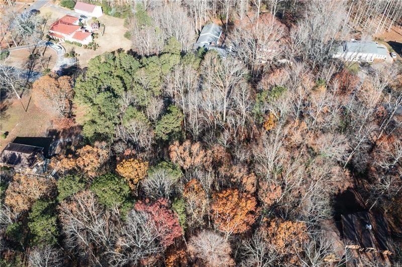 0 High Point Trail Southwest Atlanta, GA 30331 - Photo 4 of 8 a view of a plant with a yard