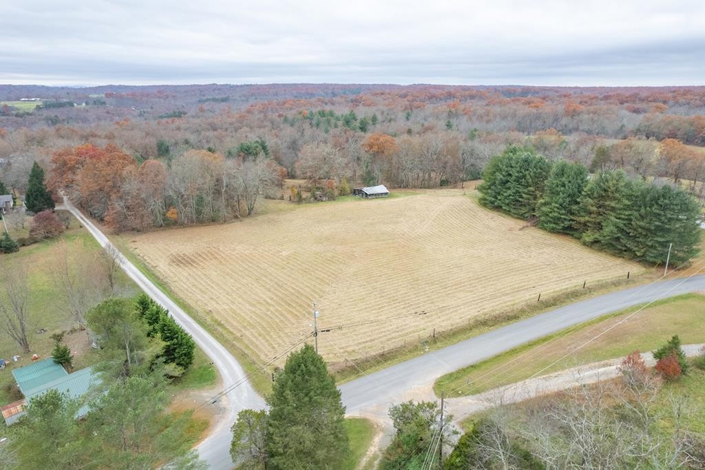 413 Hugh Jones Road Sunbright, TN 37872 - Photo 42 of 54 Gallery Image 42