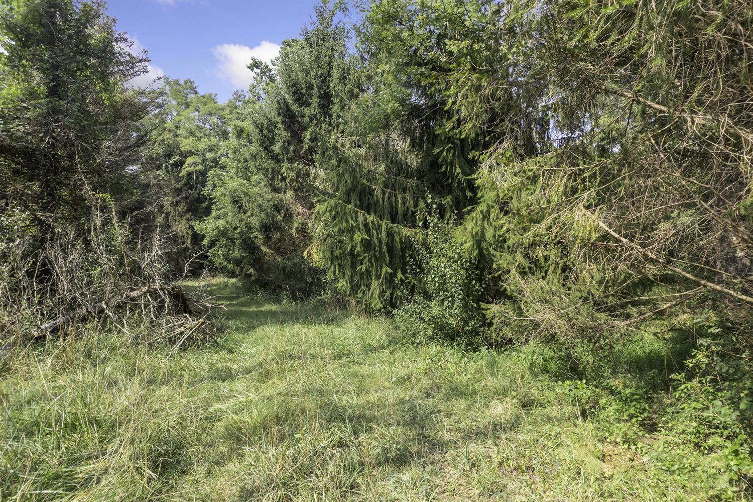 0 Ireton Trees Road Moscow, OH 45153 - Photo 18 of 19
