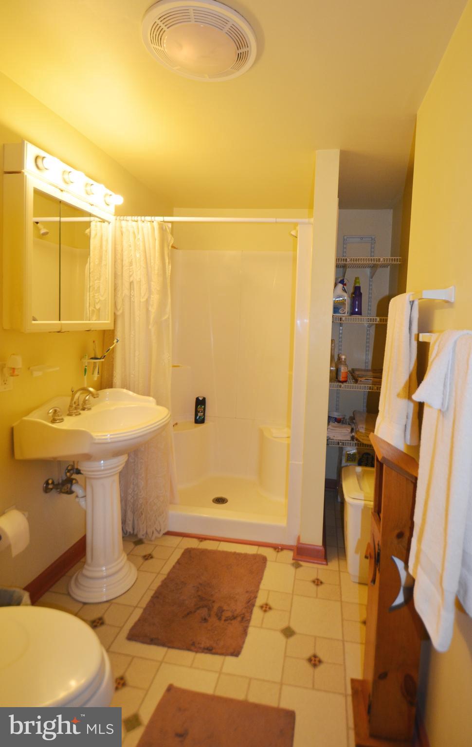 2165 Woodview Road Finksburg, MD 21048 - Photo 33 of 70 Bedroom 1 has a 4 ft seated shower & shelving area