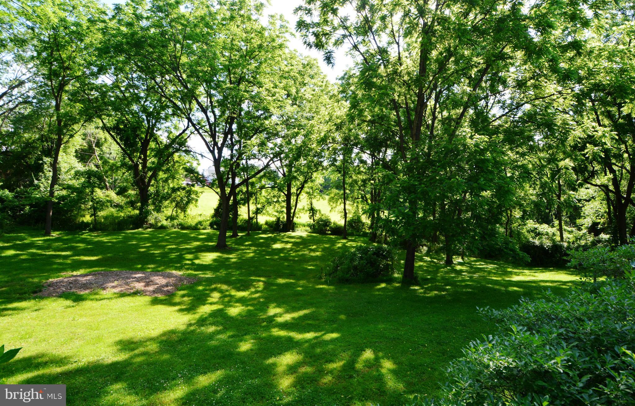 2165 Woodview Road Finksburg, MD 21048 - Photo 63 of 70 Far left side yard
