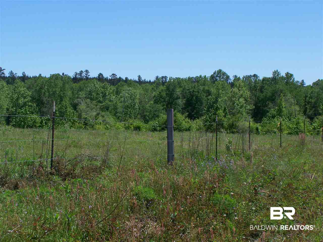 3000 Antioch Road Grove Hill, AL 36451 - Photo 26 of 42