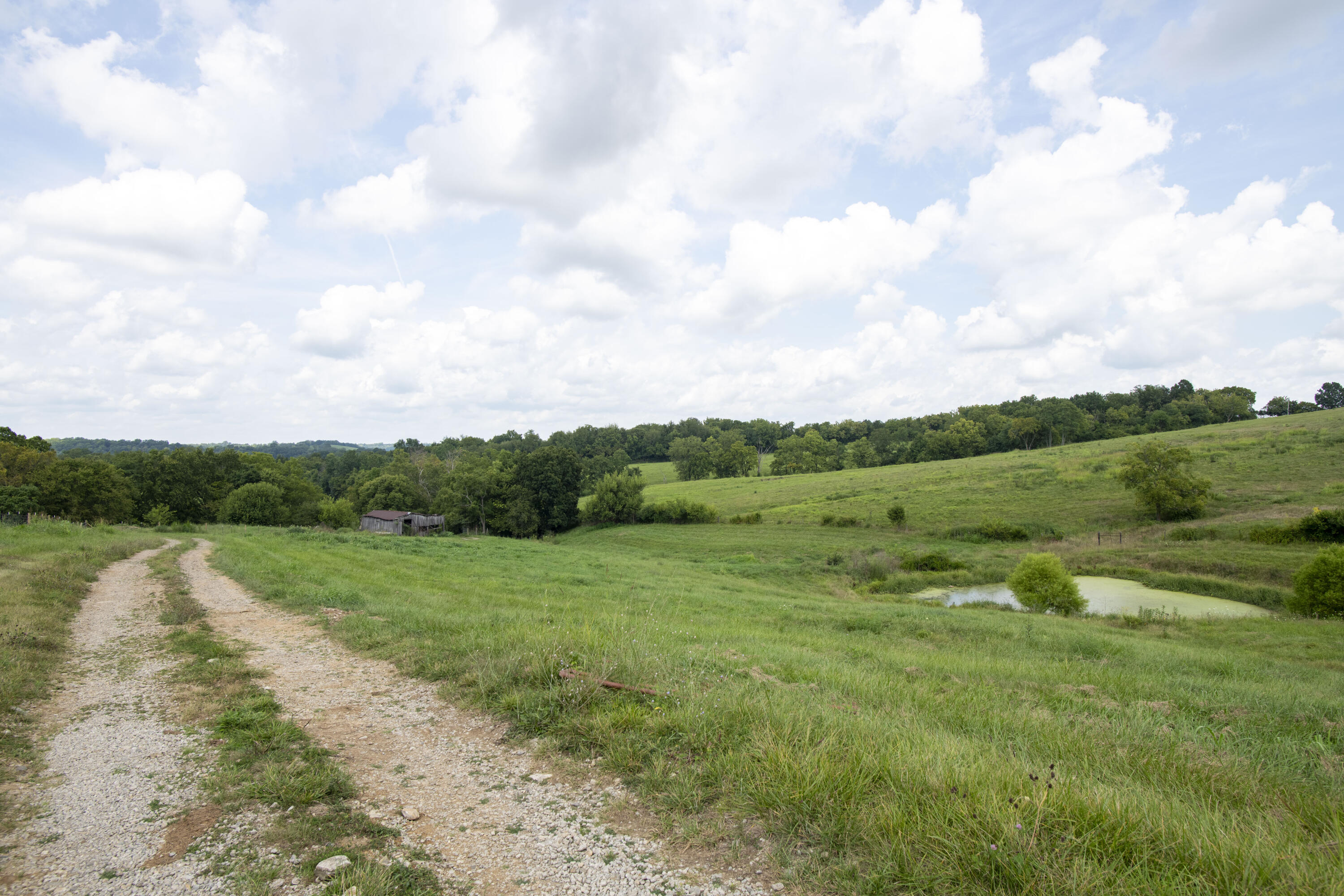 2785 High Bridge Road Wilmore, KY 40390 - Photo 5 of 16 ELand_14