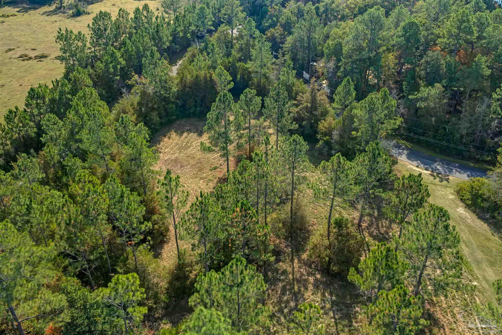 7784 River Road Milton, FL 32583 - Photo 18 of 21 an aerial view of residential house with outdoor space and trees all around
