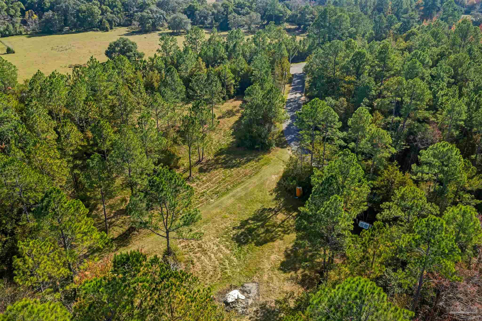 7784 River Road Milton, FL 32583 - Photo 19 of 21 a view of a yard with plants and large trees