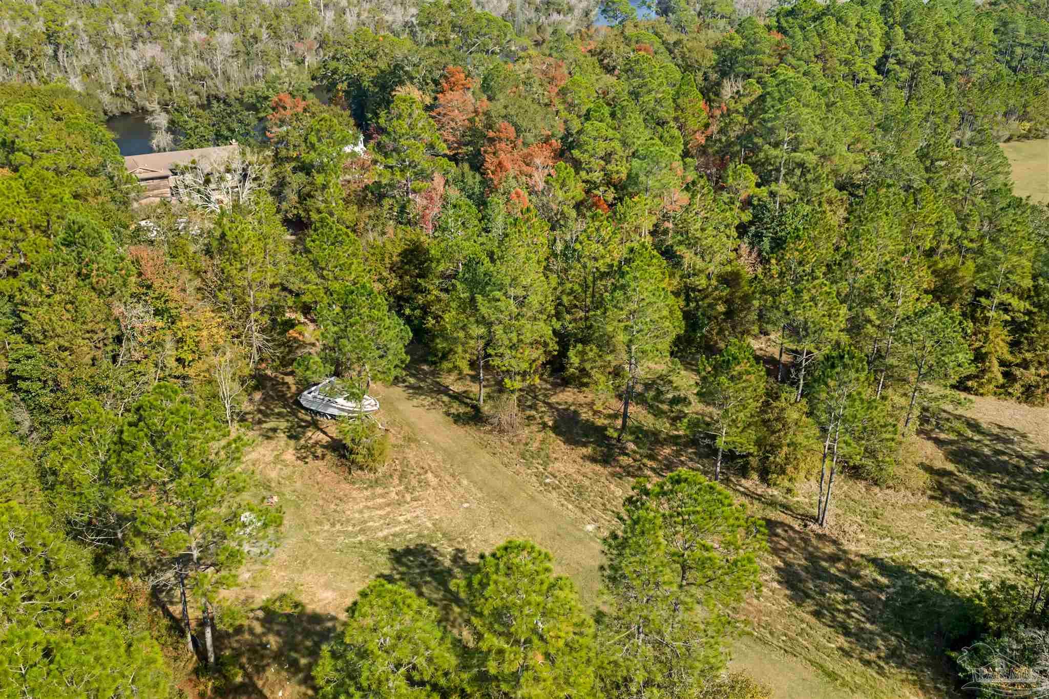 7784 River Road Milton, FL 32583 - Photo 20 of 21 a view of a yard with a tree