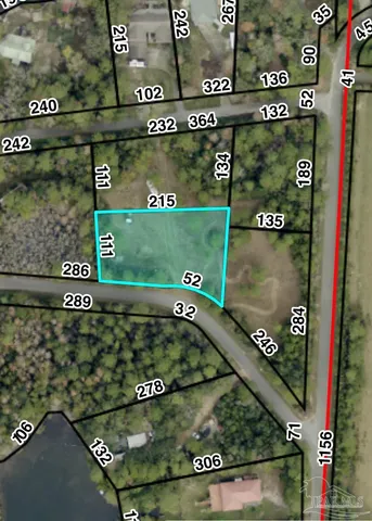 a view of a yard with plants and tree