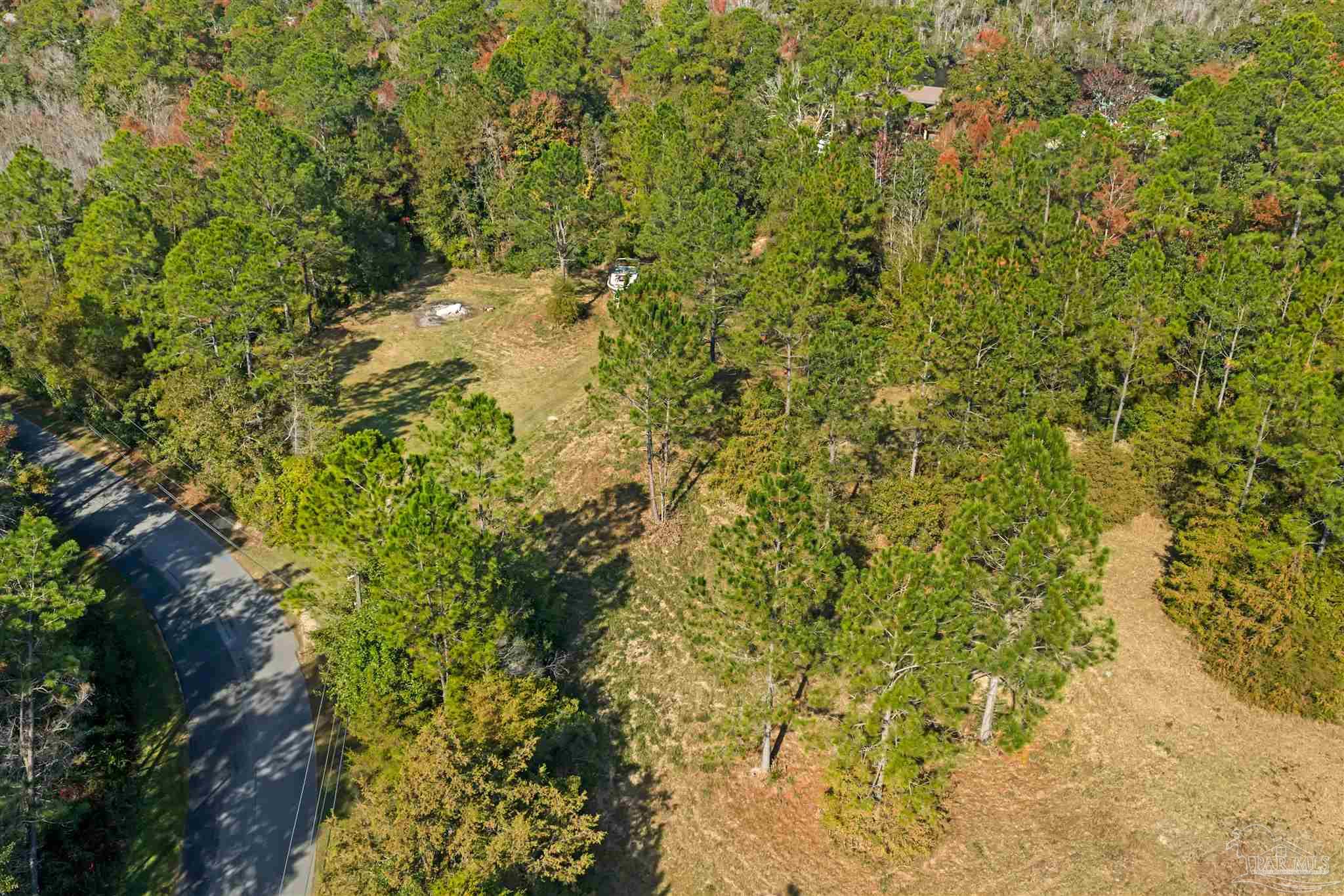 7784 River Road Milton, FL 32583 - Photo 10 of 21 a view of a yard with plants and tree