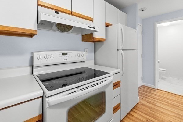 1 Watermill Place, Unit 304 Arlington, MA 02476 - Photo 8 of 35