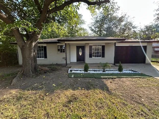 a backyard of a house with yard and garage
