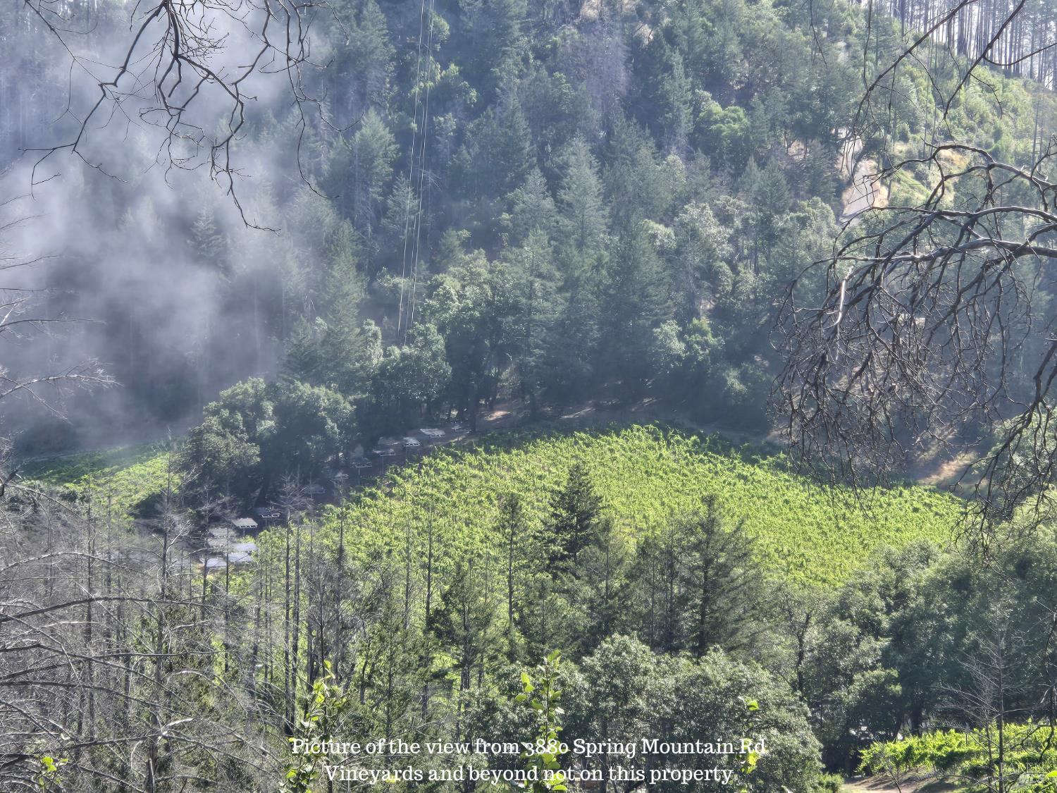 3880 Spring Mountain Road St. Helena, CA 94574 - Photo 1 of 57
