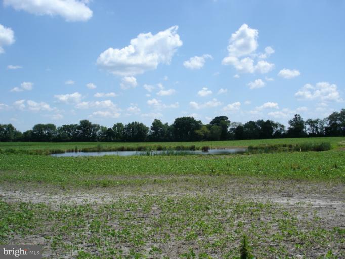 3359 Barclay Road Marydel, MD 21649 - Photo 13 of 16 Pond