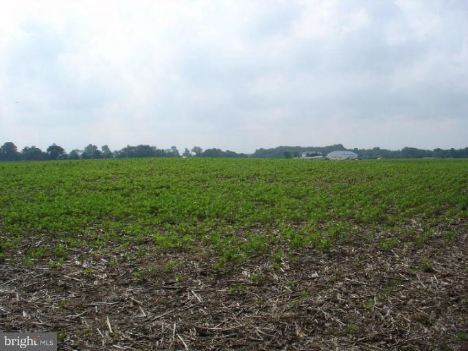 3359 Barclay Road Marydel, MD 21649 - Photo 4 of 16 Field