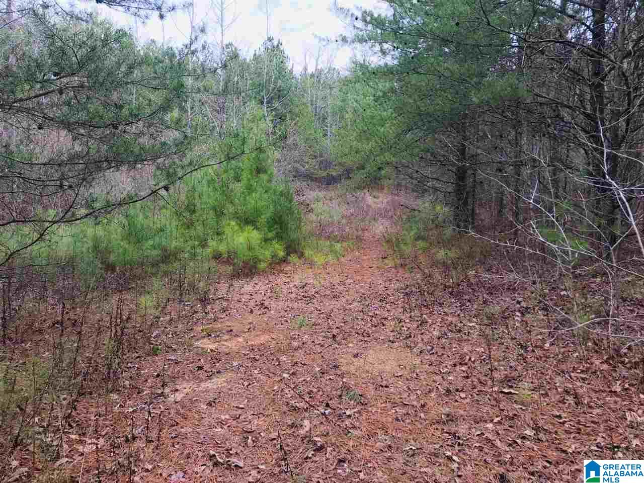 3111 Jackson Road, Unit 75 ACRES Pinson, AL 35126 - Photo 9 of 16