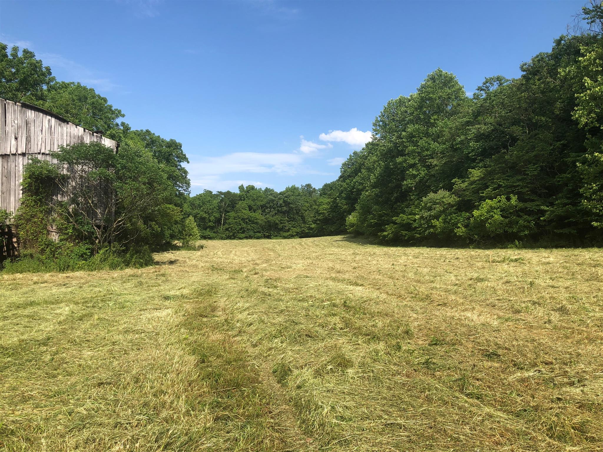 593 B Pee Dee Branch Road Cottontown, TN 37048 - Photo 1 of 6 View of field on tract #1, Barn is not on this tract.