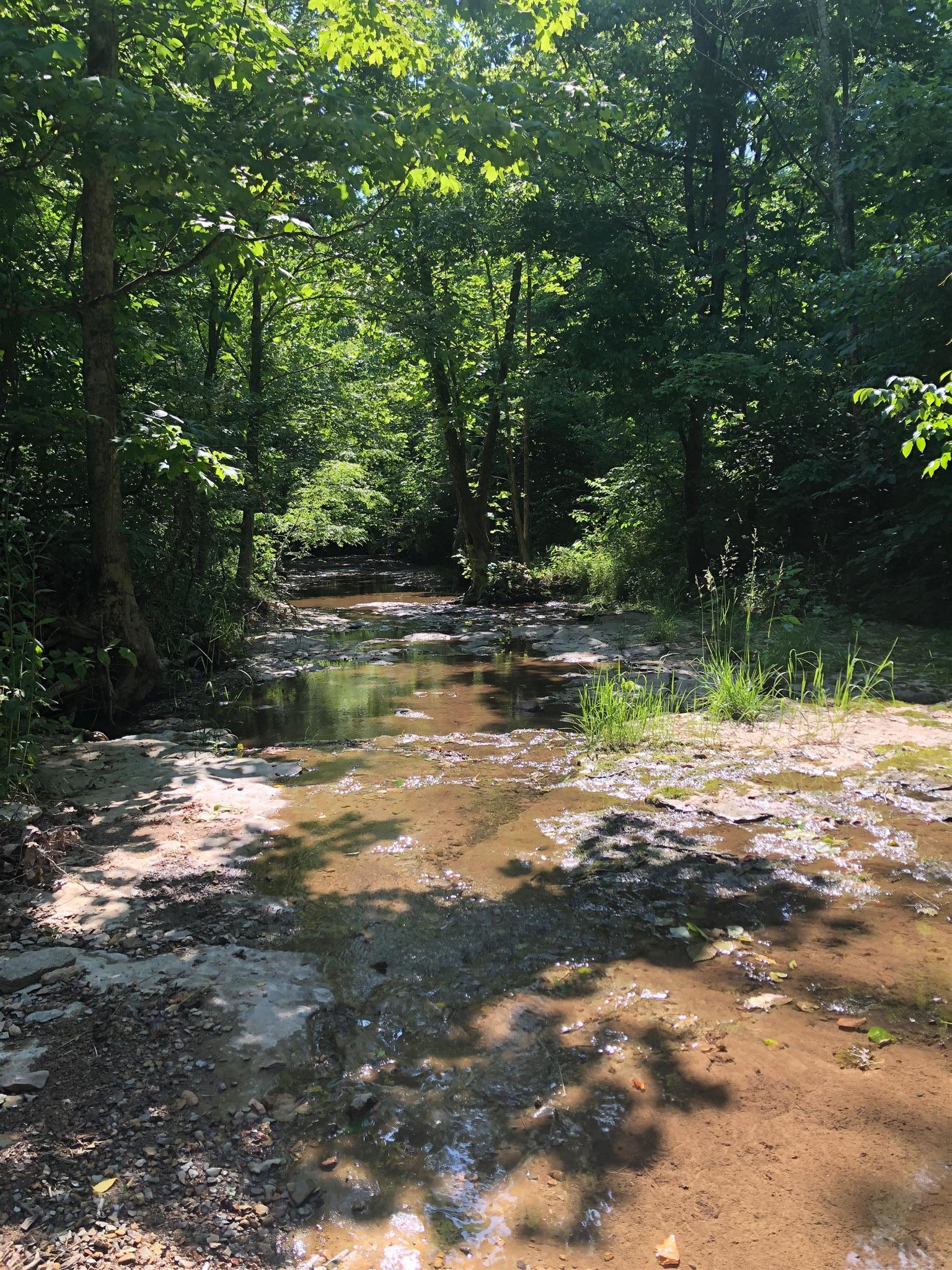 593 B Pee Dee Branch Road Cottontown, TN 37048 - Photo 2 of 6 Enjoy a stroll down by, or in the creek along the property.