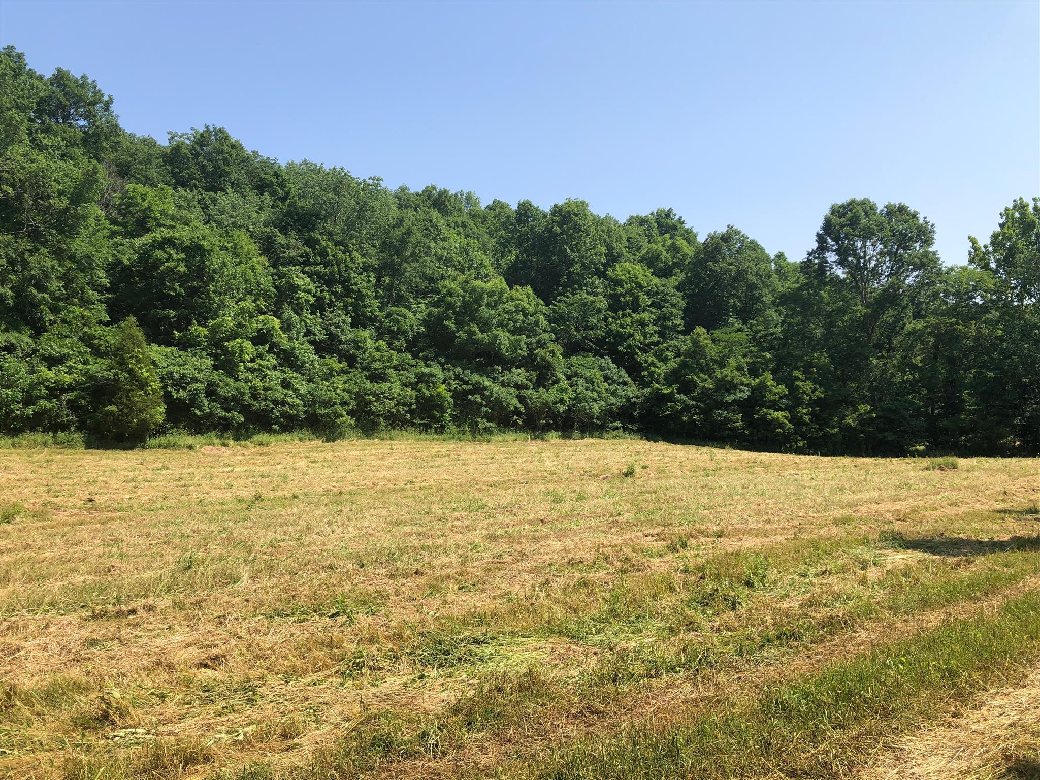 593 B Pee Dee Branch Road Cottontown, TN 37048 - Photo 3 of 6 Tuck our house away and enjoy the serenity of the countryside.
