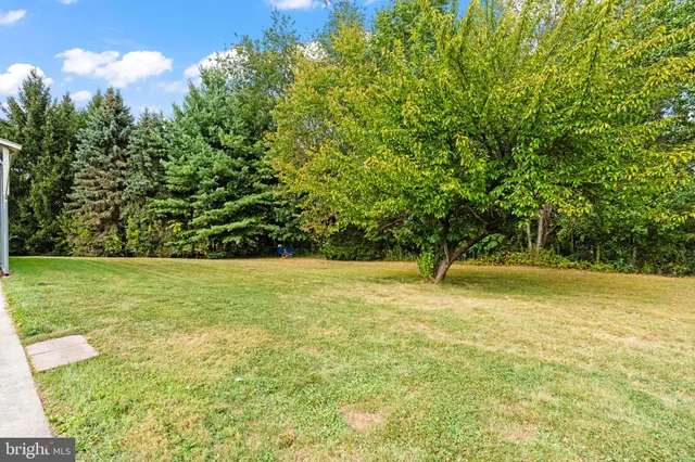 a view of yard with green space