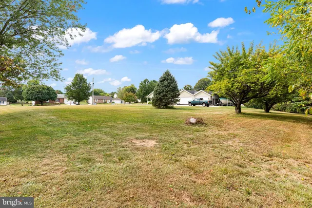 a view of yard with tree and green space