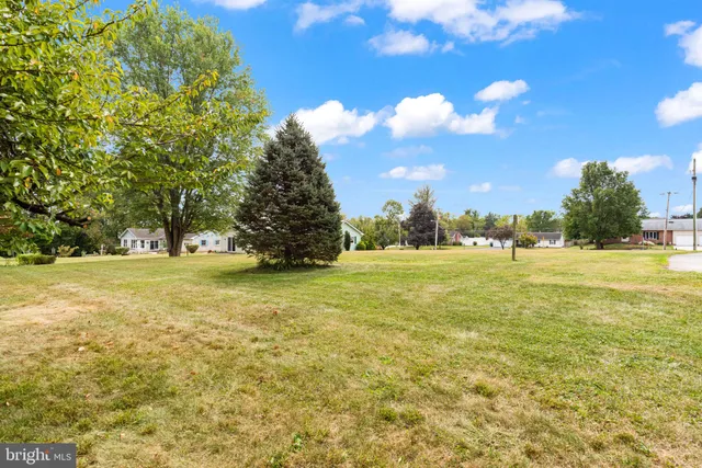 a view of outdoor space with green field and trees