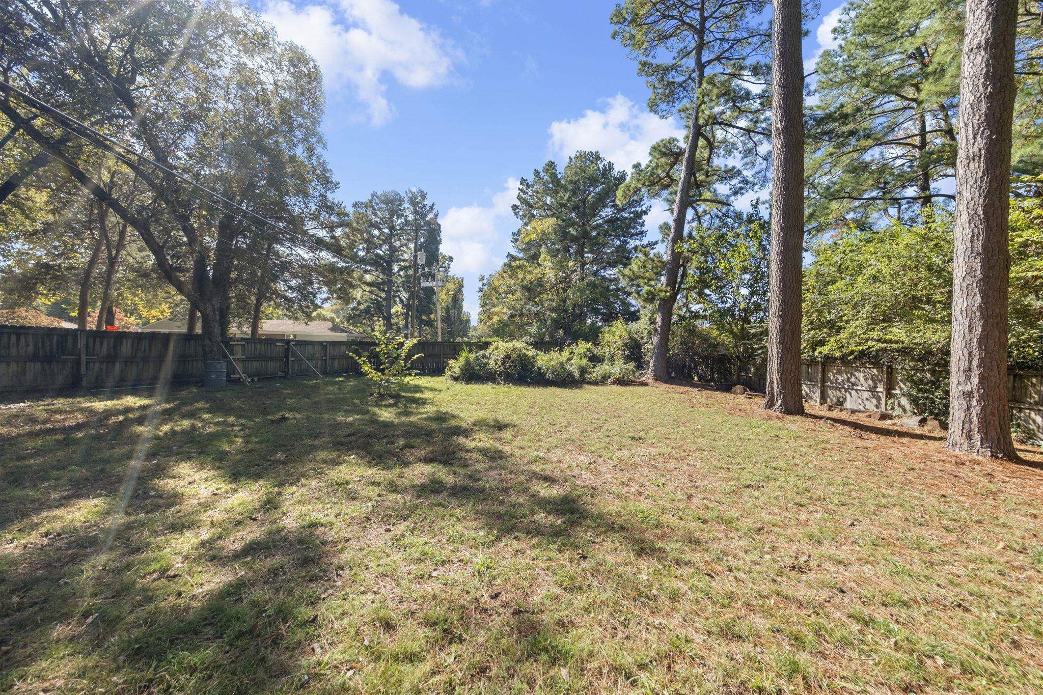 1435 Flamingo Road Memphis, TN 38117 - Photo 22 of 29 a view of a yard with trees