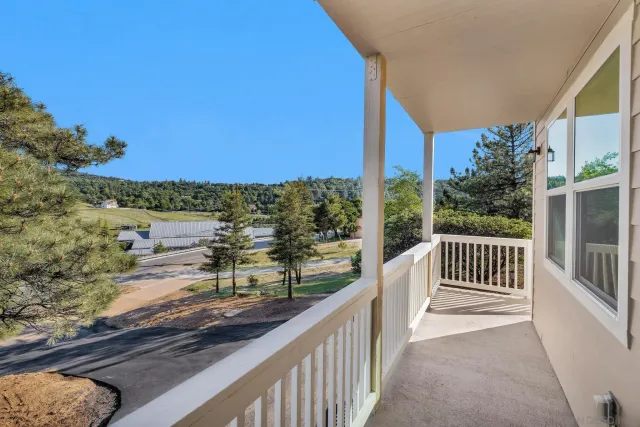 a kitchen with a sink a potted plant and cabinets