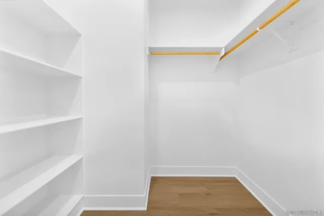 a view of a tree in the middle of a yard