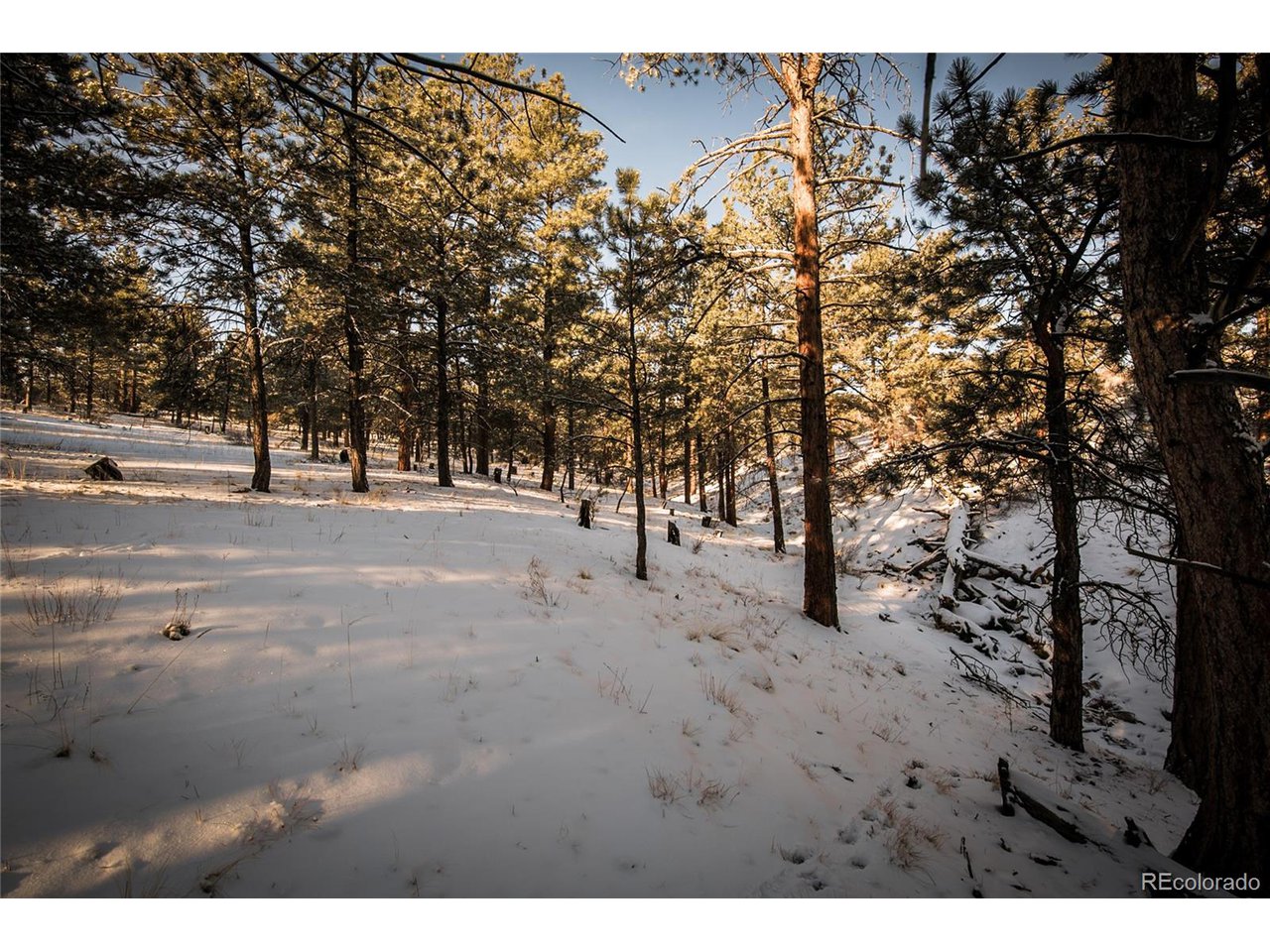 106 Tabeguache Road Nathrop, CO 81236 - Photo 2 of 20 Misc. property view