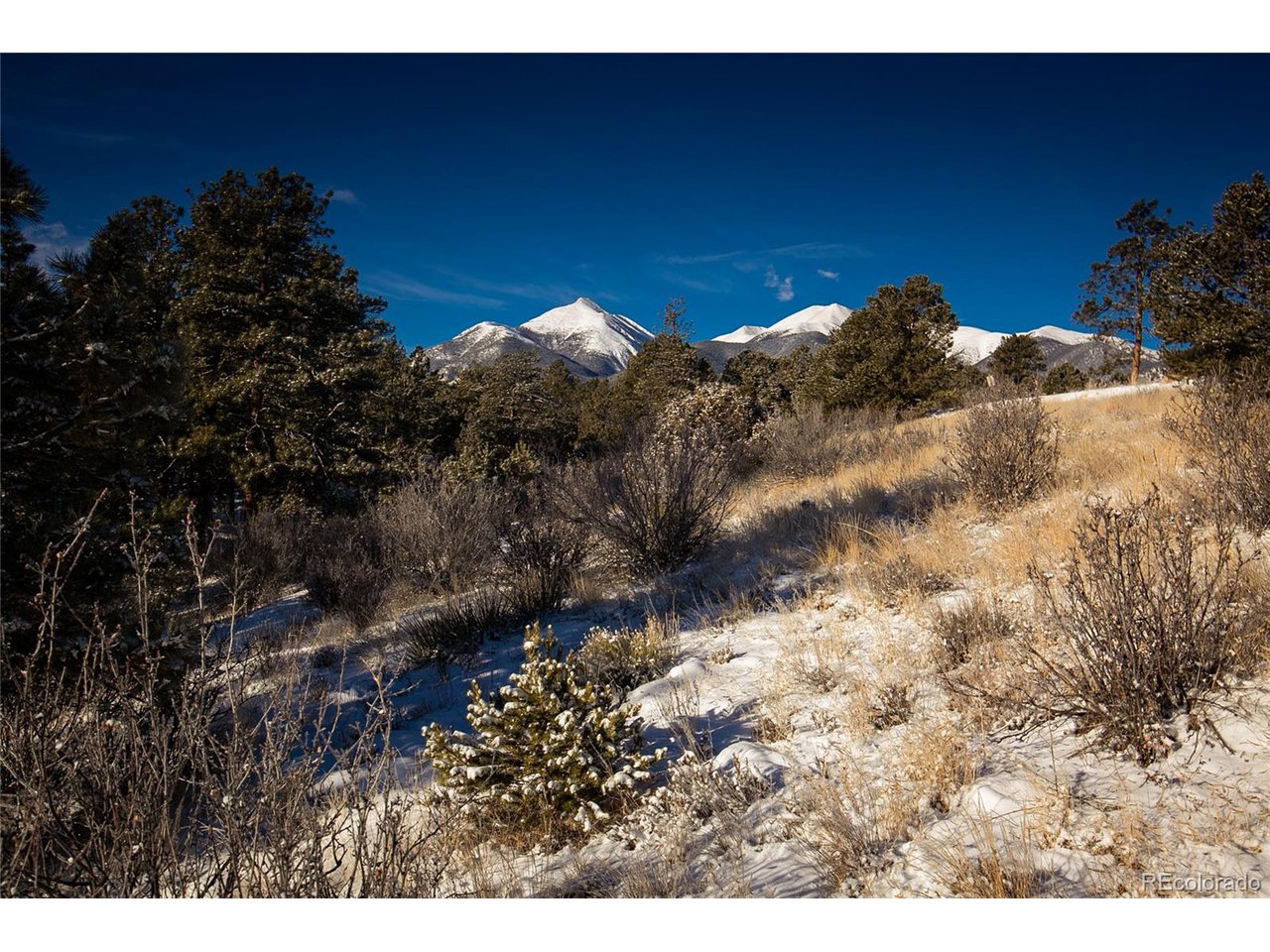 106 Tabeguache Road Nathrop, CO 81236 - Photo 4 of 20
