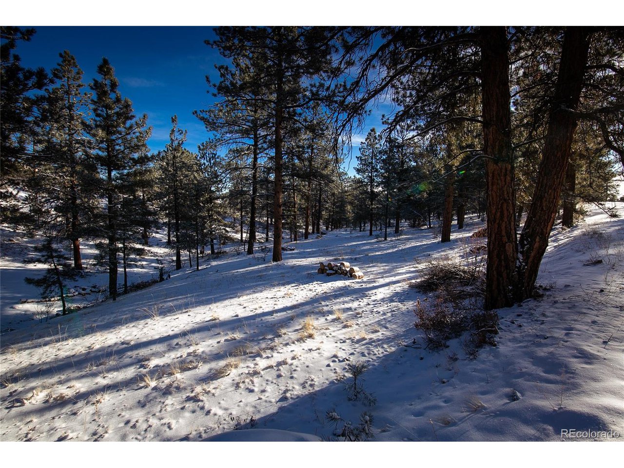 106 Tabeguache Road Nathrop, CO 81236 - Photo 7 of 20