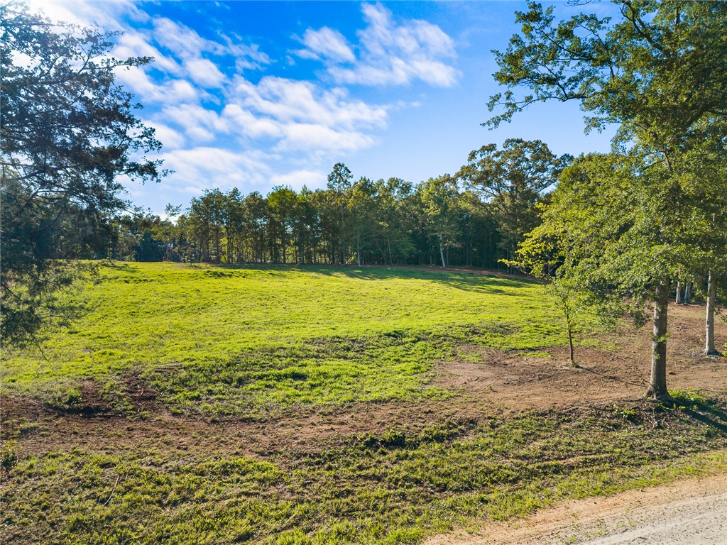 75 Hidden Acres Trail Pelzer, SC 29669 - Photo 2 of 32