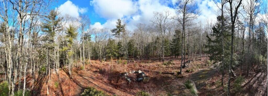 Lot#009-02 Powderhorn Road Jefferson, ME 04348 - Photo 2 of 6 Screenshot 2025-01-28 134143