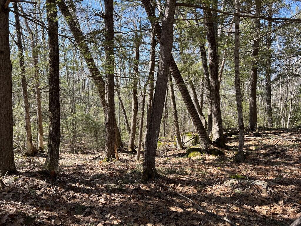 Lot#009-02 Powderhorn Road Jefferson, ME 04348 - Photo 4 of 6 image1