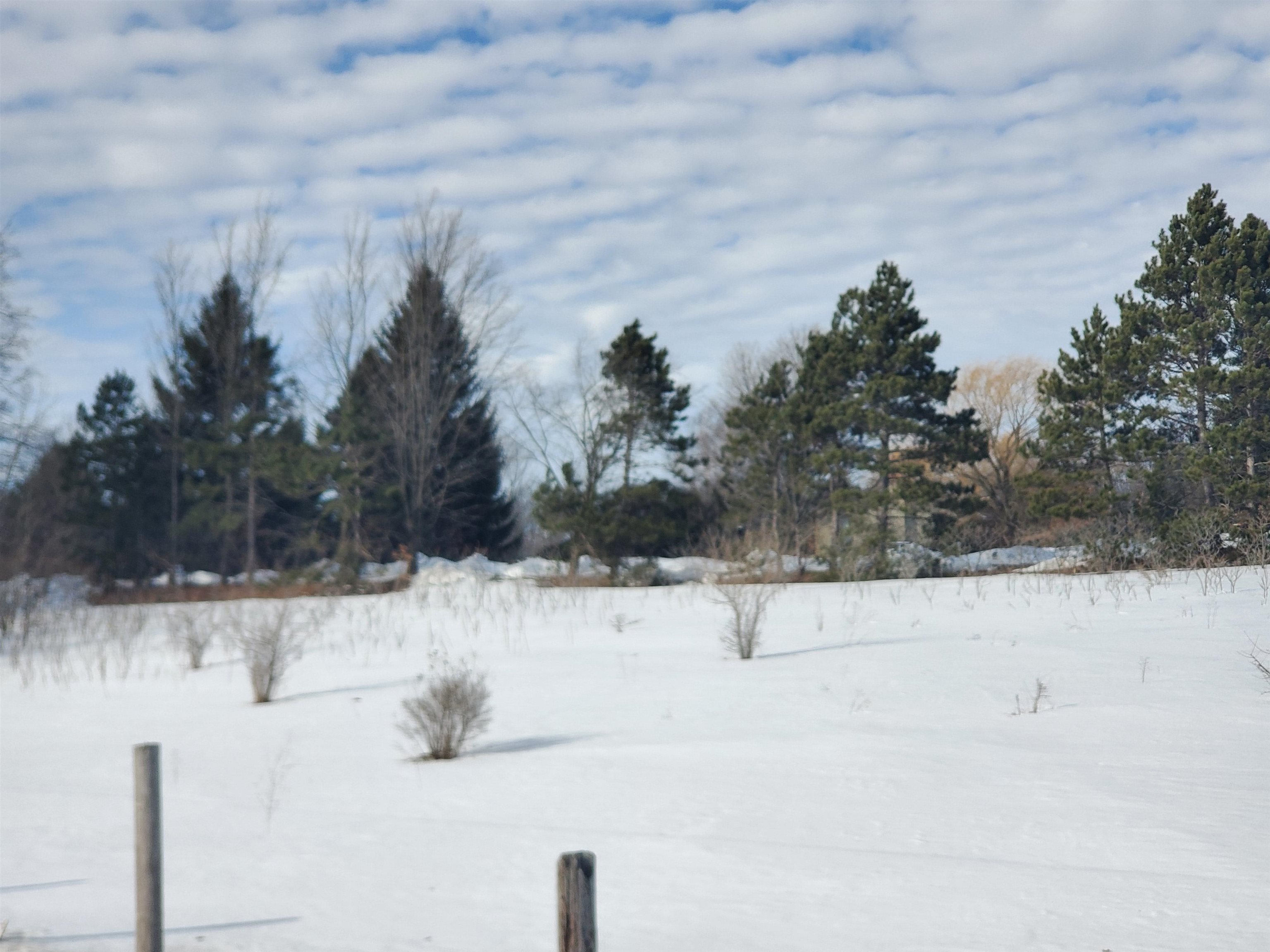 1 East Lincoln Road Cedar, MI 49621 - Photo 8 of 10