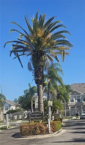 a view of a palm trees front of house